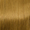 22 Inch Bohyme Luxe Micro Fine Wefts - Hand Tied Straight 114g | 100% Remy Human Hair-10 Golden Brown-Doctored Locks